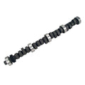 Magnum 224/224 S-Flat Cam Ford 221-302