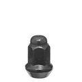 10MMX1.25 BLK ATV