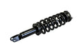 PERFORMANCE LEVELING STRUT - RAM 15