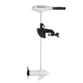 RIPTIDE TRANSOM 45#,36",12V,VAR SPD