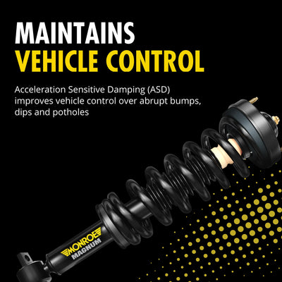 MONROE SHOCKS & STRUTS auto part
