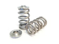 2.3 Ecoboost Beehive Spring Kit