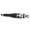 AIR SUSPENSION STRUT