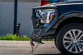 24C F150 EVOLUTION FRONT WINCH BUMPER REAPER GUARD TEXTURE BLACK