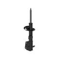 OESPECTRUM PREMIUM STRUT
