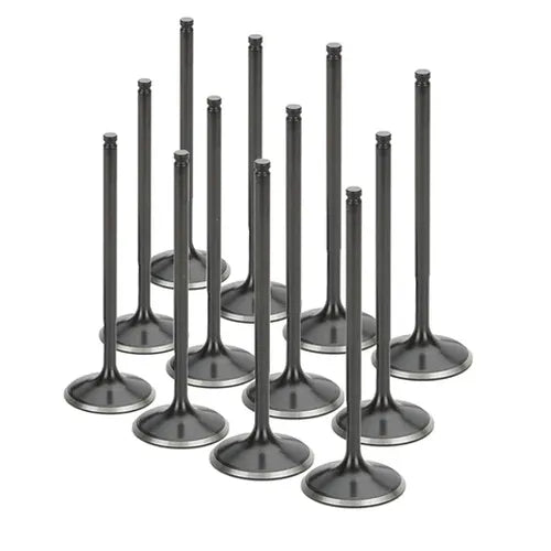 Supertech BMW M50/M52/S50/S52 Black Nitrided Intake Valve - Set of 12