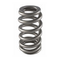 PAC RACING SPRINGS springs