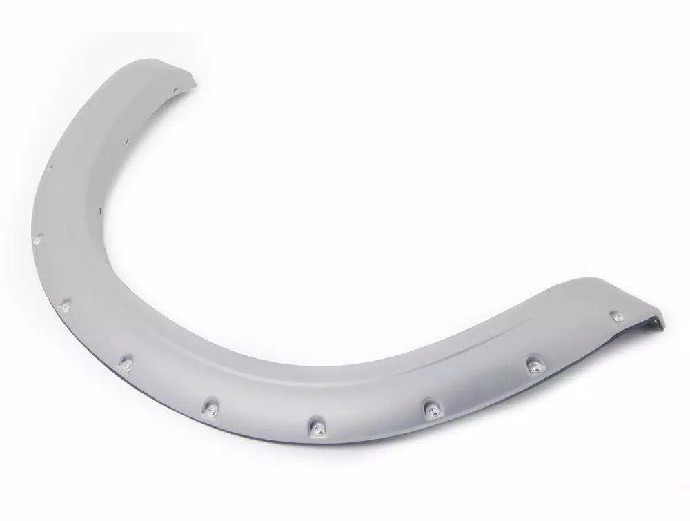 EGR silver fender flares