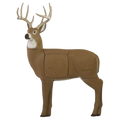 GLENDEL FULLRUT BUCK W/4SIDED INSERT