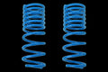 LAND CRUISER 300 22+ REAR COIL SPRI
