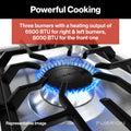 RANGE COOKTOP MATCH WITH 17" & 21