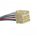 SPORV WIRING 4 FT DISPLAY