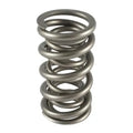 1.274 Dual Valve Springs GM LS (16)