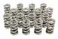 PAC RACING SPRINGS springs