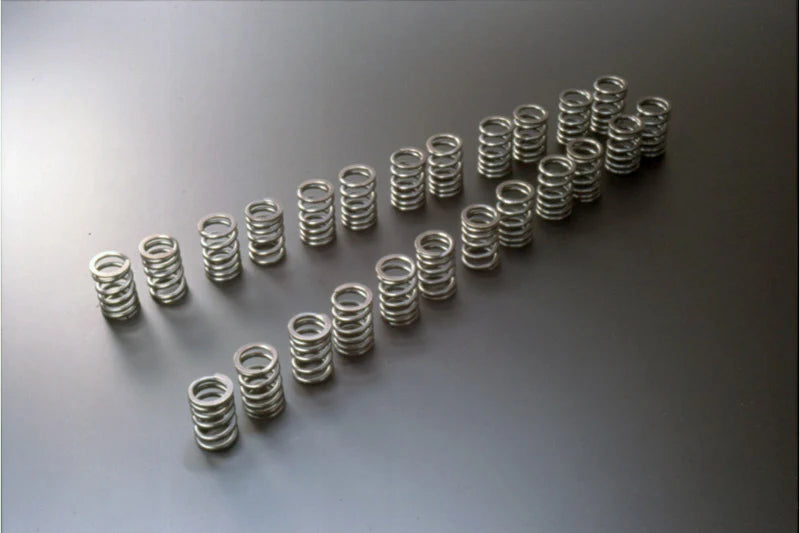 VALVE SPRING SET RB26DETT TYPE-A