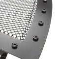 T-Rex Grilles auto part installed view