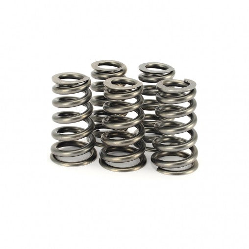 Ferrea Racing springs