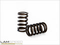 Kelford NISSAN RB26 HIGH PERFORMANCE SPRING SET