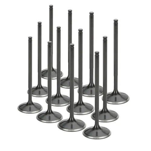 Supertech Toyota Supra 1JZGE/1JZGTE Chrome Intake Valve - +1mm Oversize - Set of 12