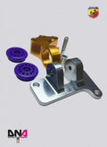 DNA Racing Fast road distribution side engine support kit