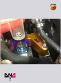 DNA Racing Fast road distribution side engine support kit