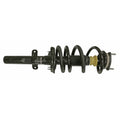 STRUT AND COIL SPRING ASSEMBLY