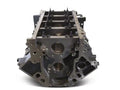 LS Engine Block 9.240 Deck 4.125 Bore