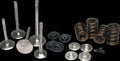 Ferrea 18-24 Ford Coyote 5.0L Dual Valve Spring Kit