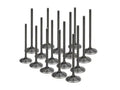 Supertech BMW S65/S85 35.4x4.97x111.75mm Black Nitrided Intake Valve - Set of 16