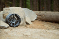 Baja Built Wheels auto part detail