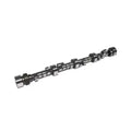 Oval Track 253/262 Solid Roller Cam SBC