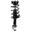 ROADMATIC STRUT ASSEMBLY