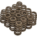 1.290 Valve Springs - Ovate Beehive (16)
