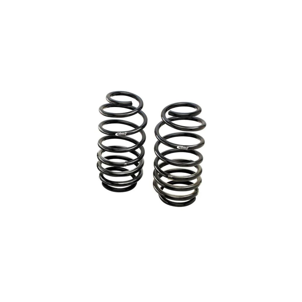 Eibach silver springs