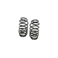 Eibach silver springs