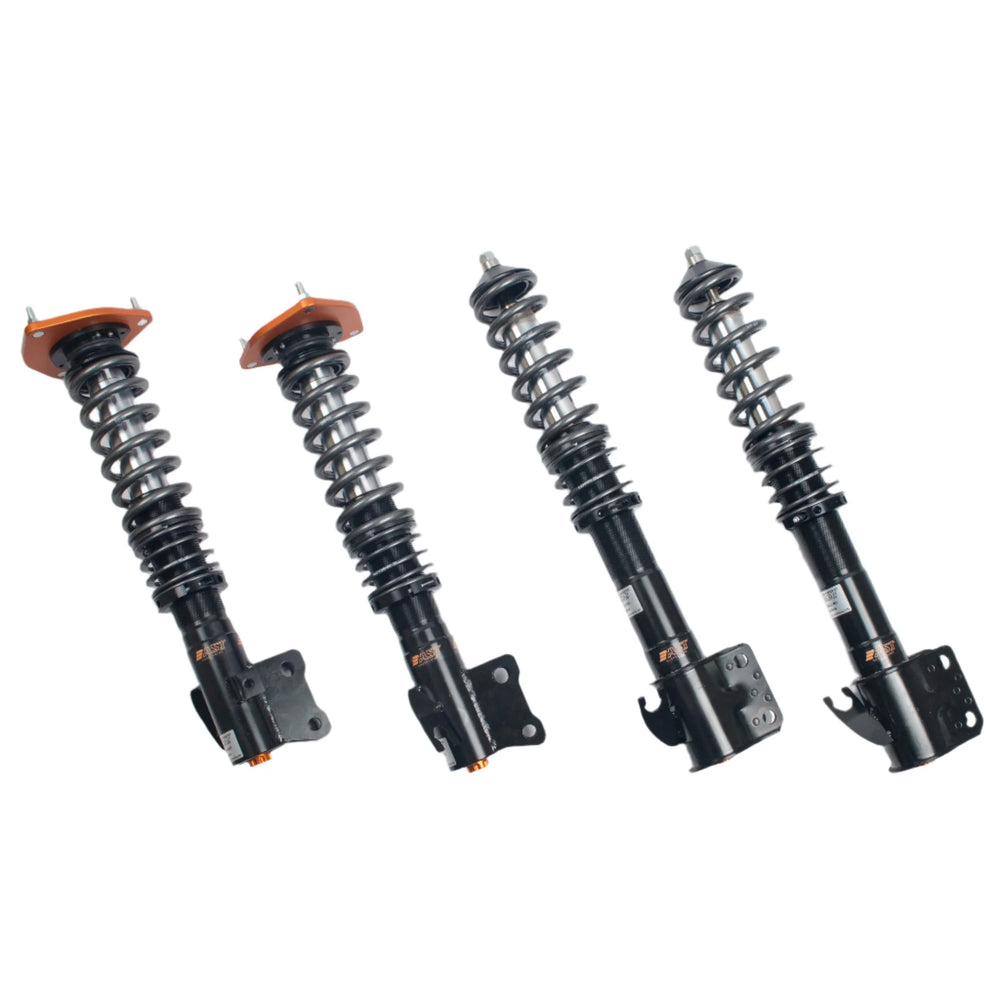 AST shock absorber