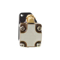 REMAN INJECTOR
