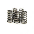 Ferrea Racing springs