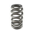1.445 Valve Springs - Ovate Beehive (16)