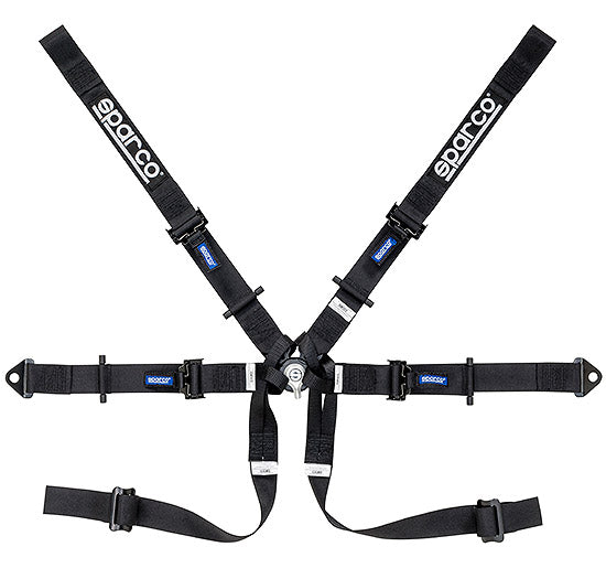 Belt 6 PNT 2in FORMULA BL