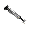 Holley shock absorber