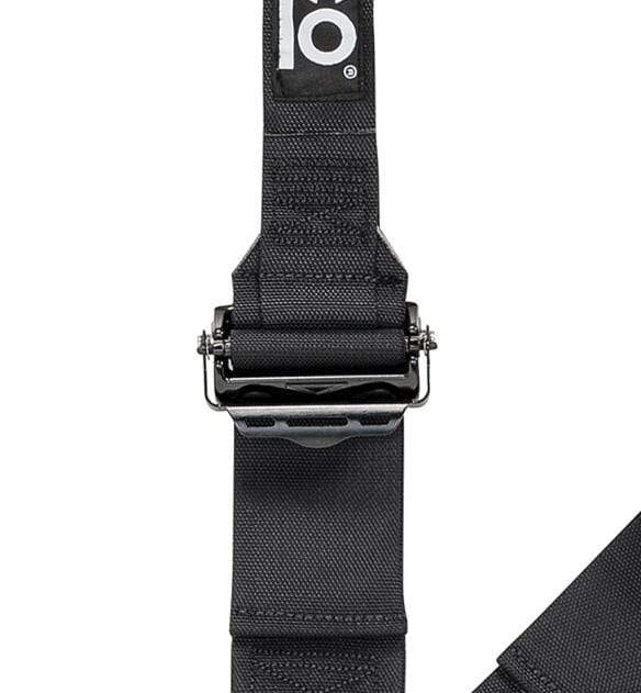 Belt 6 PNT 2in FORMULA BL