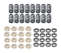 Ferrea Racing springs