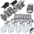 RACESAVER ASSY 3.480 X 3.796 CP