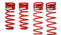 Tanabe DF210 Springs 06-07 GS300