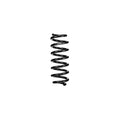 Eibach springs detail