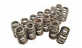 PAC RACING SPRINGS springs
