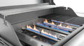 PREMIER 2 BURNER PROPANE GAS GRILLSTAINLESS STEEL