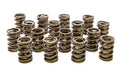 PAC RACING SPRINGS springs