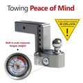 WEIGH SAFE 8 DROP HITCH W/ 3 SHANK ADJUSTABLE BALL MOUNT W/ 17/8 & 2 BALLS